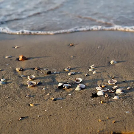 Spend Your In Our Beautiful Flat - Beahost Bibione